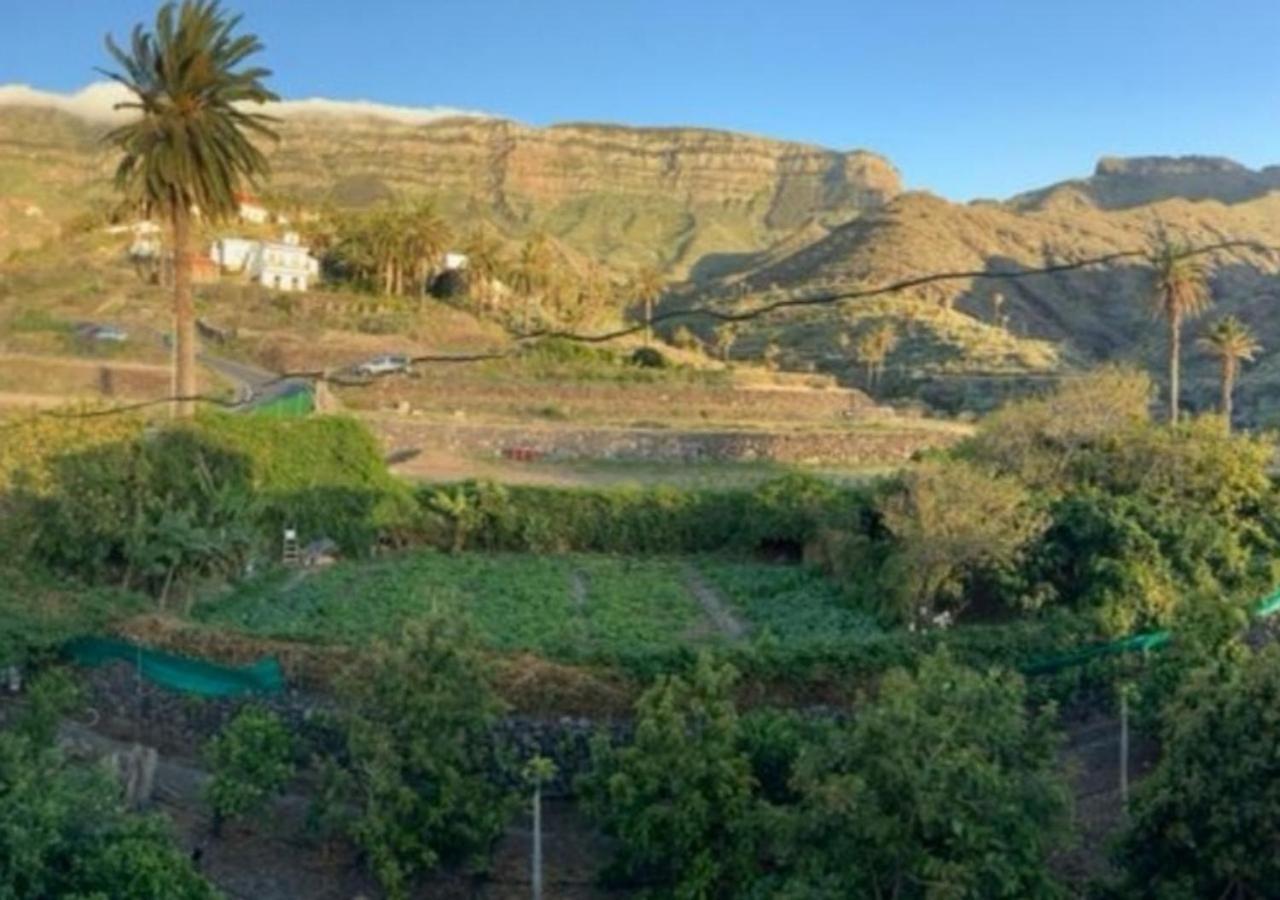Casa Maria - Finca Medina Alojera Екстер'єр фото